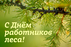 С Днём работника лесной промышленности